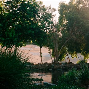 Image description is not available.